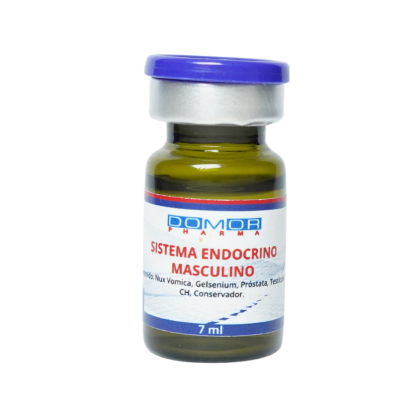Sistema Endocrino Masculino